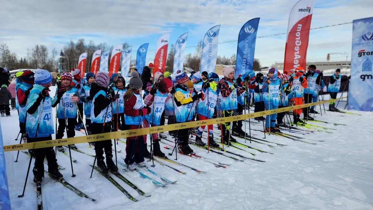 REGIONS/Елена Шумакова