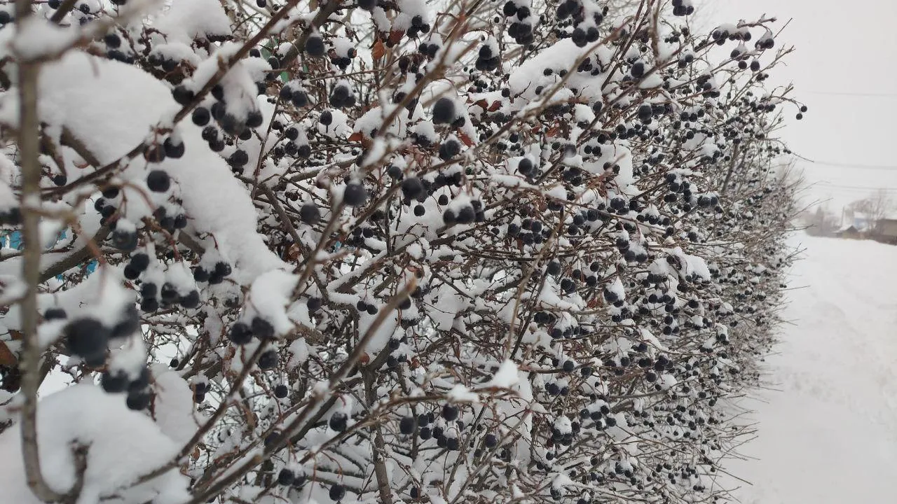 REGIONS/Юлия Куделькина