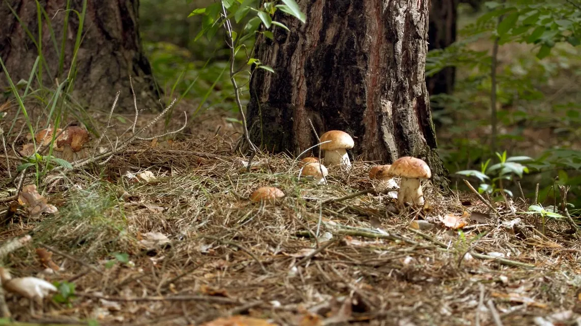 Фото: unsplash.com