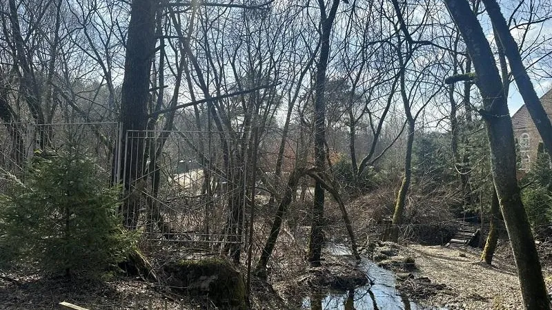 Фото: Министерство экологии и природопользования Московской области