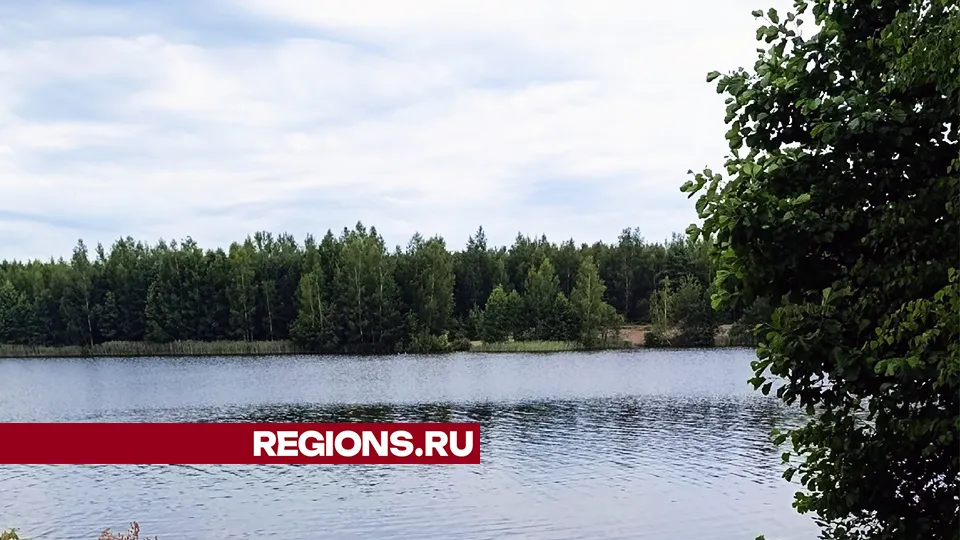 Фото: REGIONS/Катерина Руденок