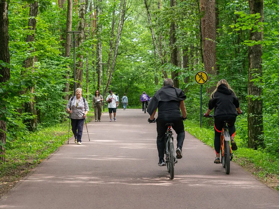 Фото: медиасток.рф