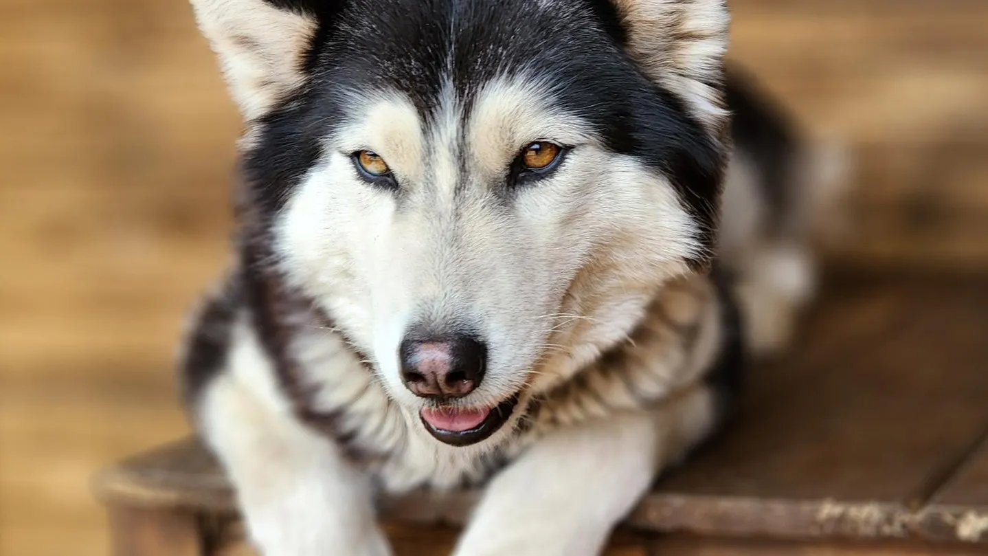 Фото: Екатерина Данилина