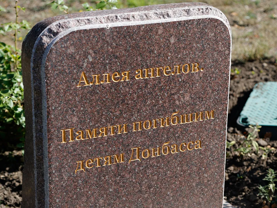 «Каждый факт жестокого обращения и убийства детей покажем мировой общественности»: депутат Колунов об инициативе ГД