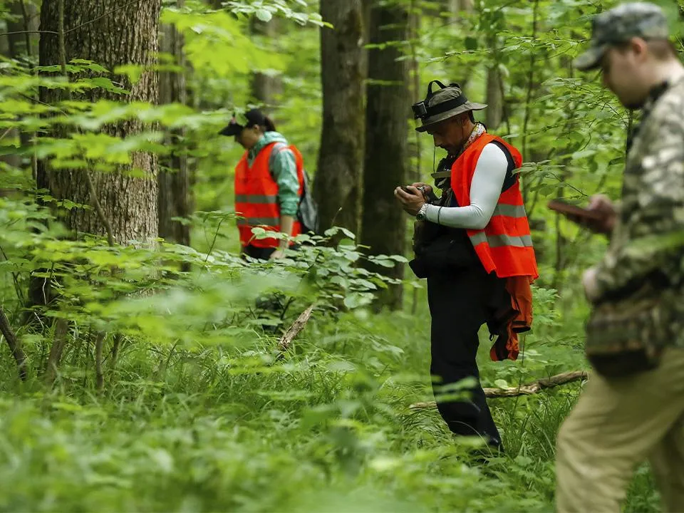 Выход есть: российский депутат Черкасов посоветовал «ЛизаАлерт» плотнее работать с МЧС, чтобы лучше искать людей