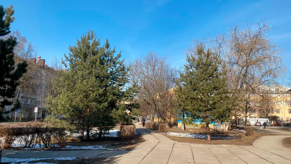 Фото: пресс-служба администрации г.о. Королев