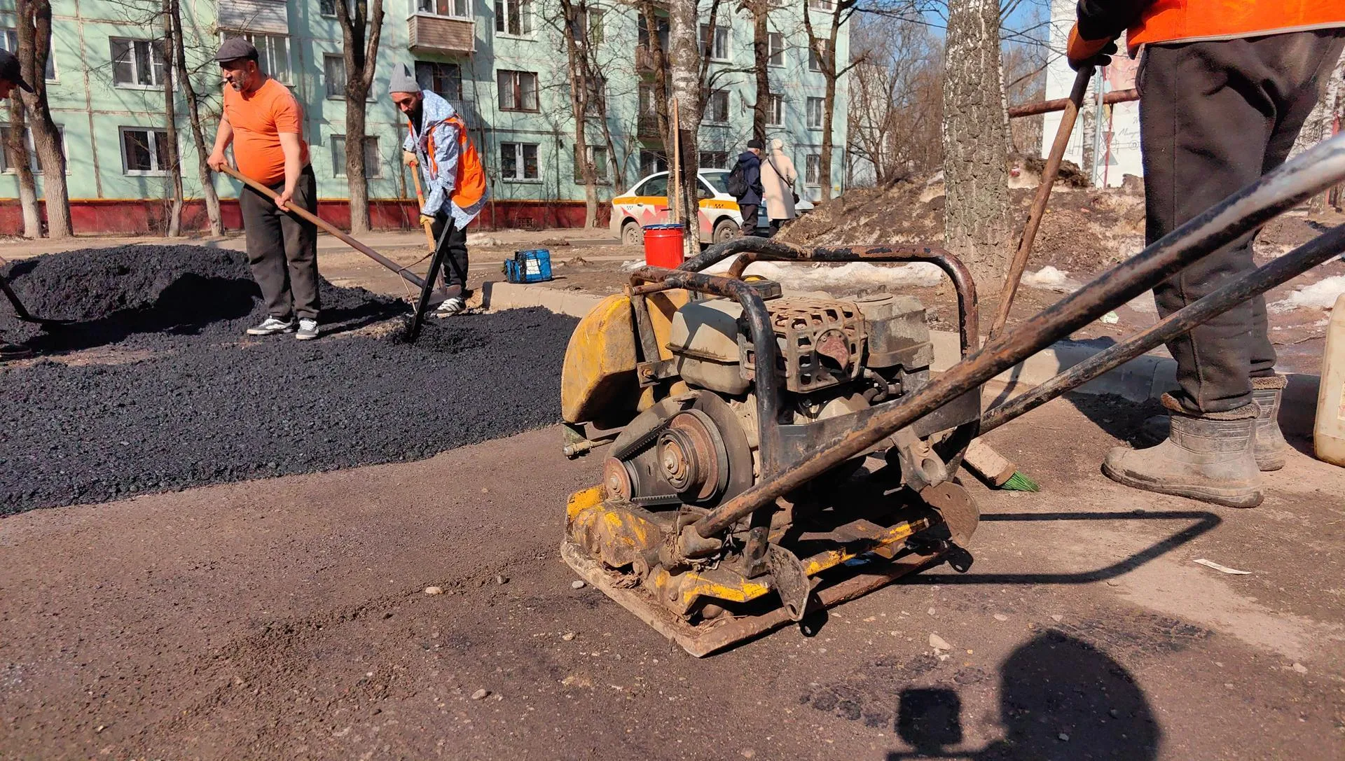 Елена Катасонова