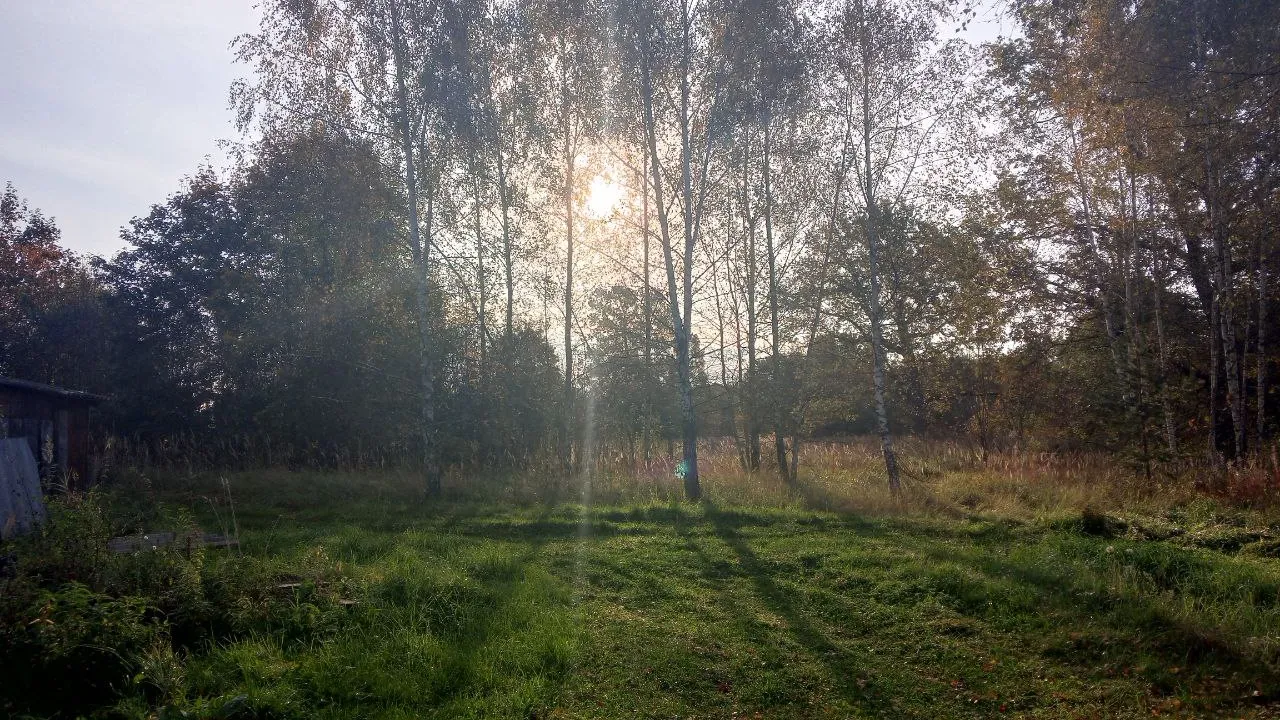 Фото: REGIONS/Василий Тремасов