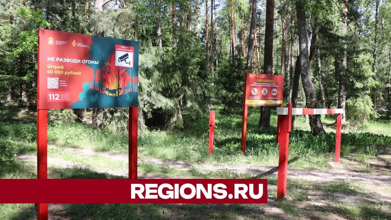 Фото: Regions/Василий Тремасов