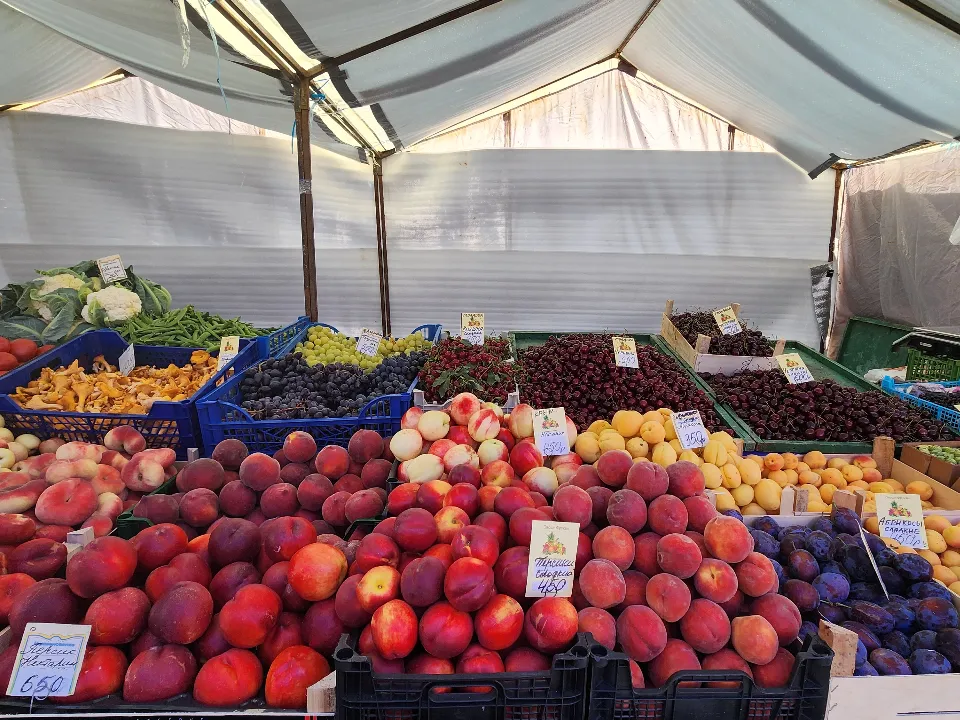 Фото: МедиаБанк Подмосковья/Валентина Максимова&nbsp;&nbsp;