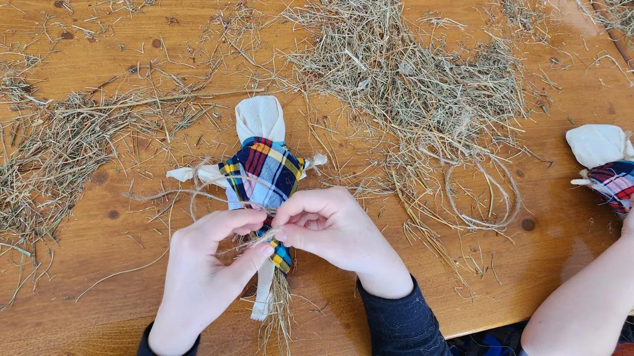 МедиаБанк Подмосковья/Екатерина Морозова