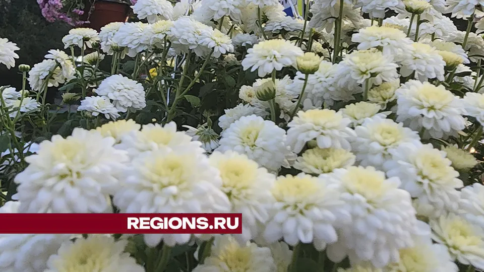 Фото: Михаил Раскин