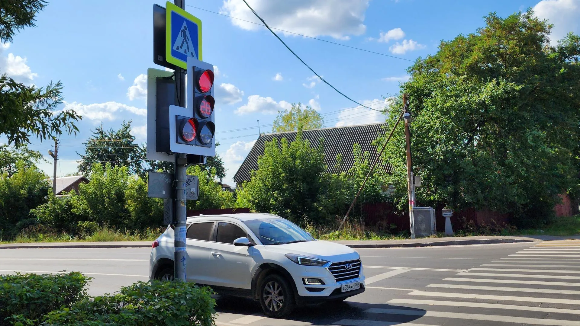 Фото: Светлана Плотникова