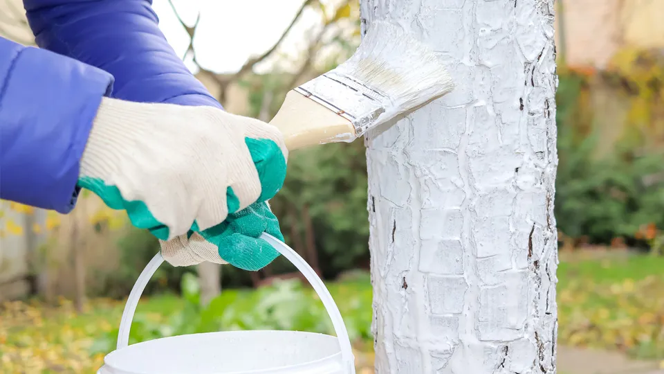 Фото: istockphoto.com/Kristina Pokaluk