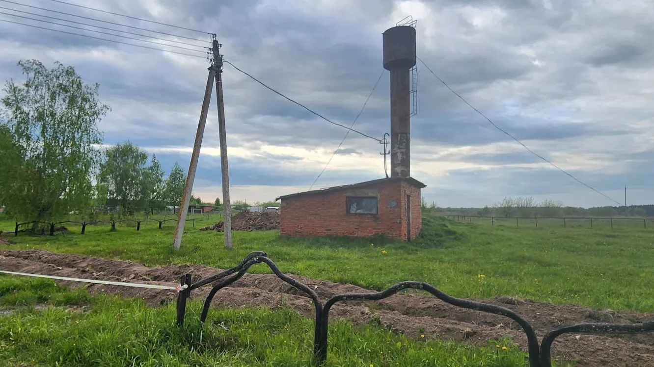 Фото: Марина Анисимова.