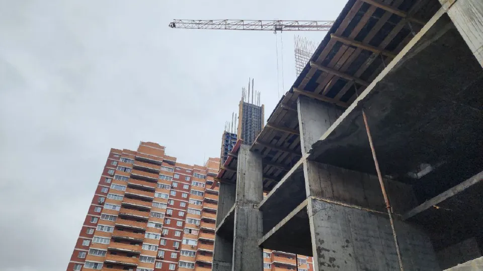 Фото: МедиаБанк Подмосковья/Ирина Кузова