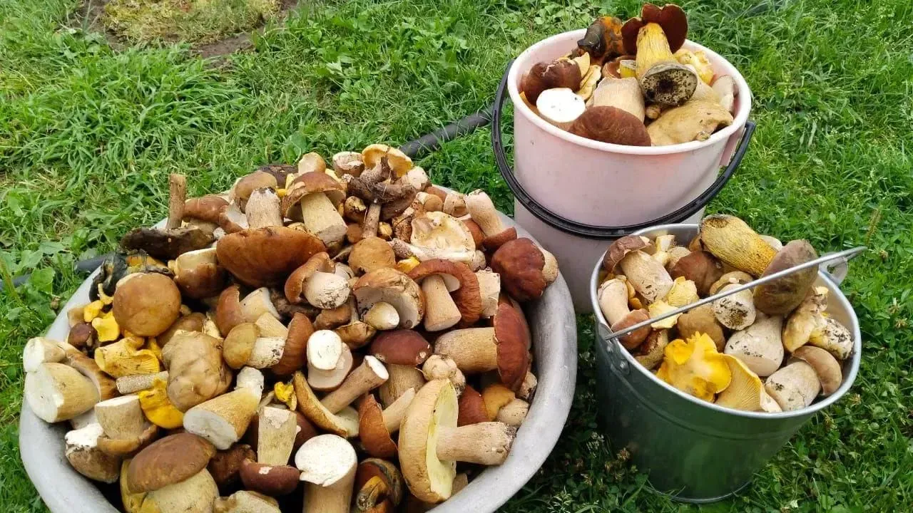 Фото: Мария Панина