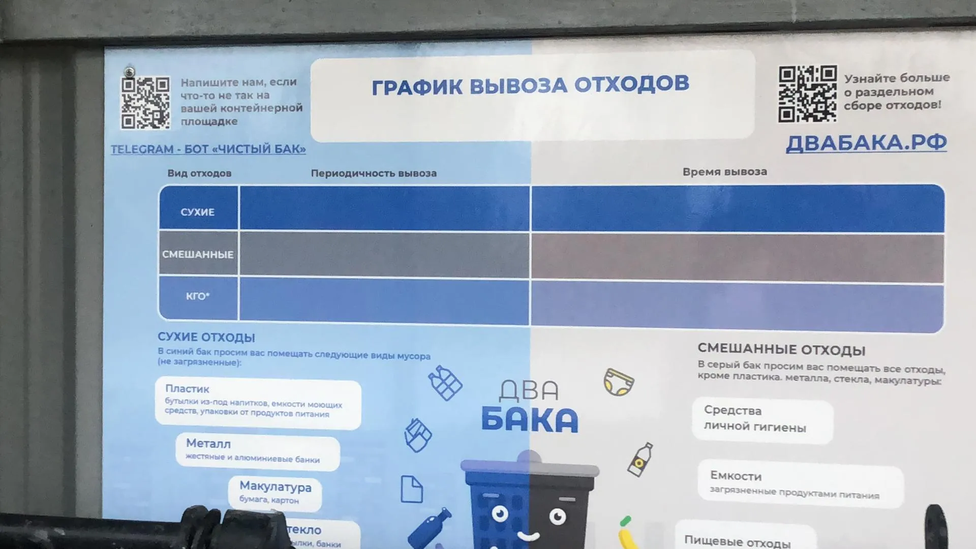 Владислава Соловьева