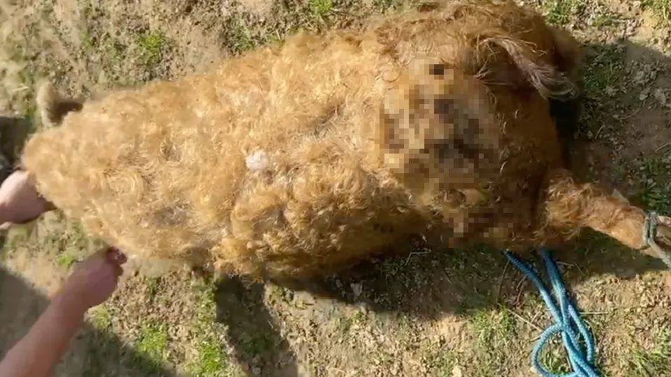 Фото: соцсети