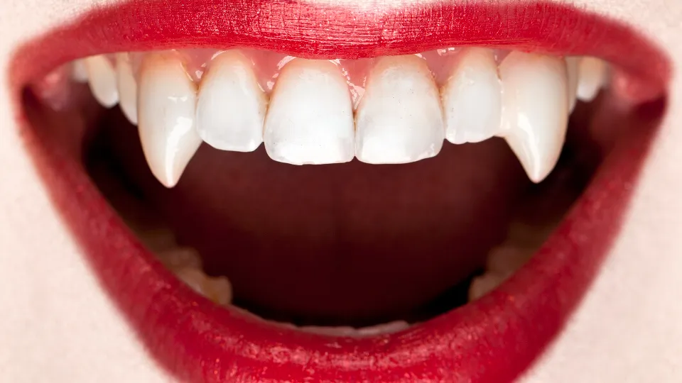 Фото: istockphoto.com