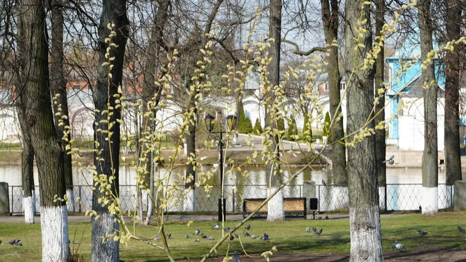 Фото: Мария Юдина