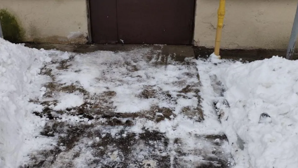 Фото: пресс-служба администрации г.о. Лосино-Петровский