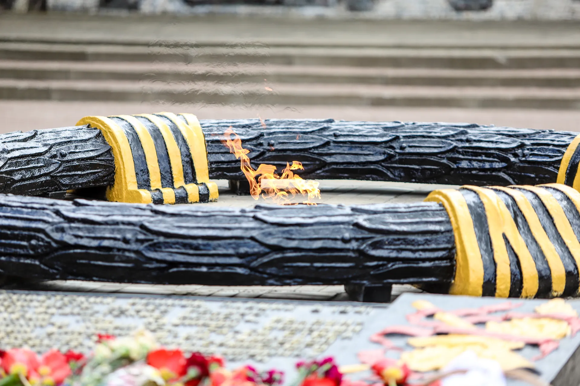 Фото: пресс-служба администрации г.о. Кашира&nbsp;