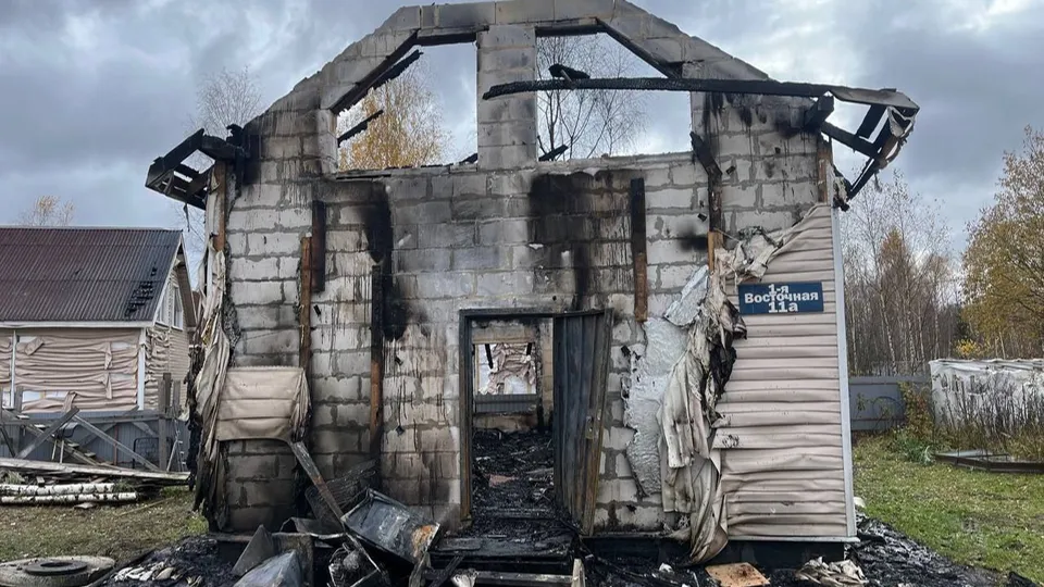 Фото: ГУ МЧС России по Московской области