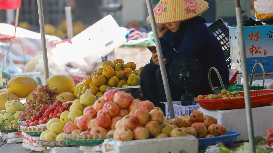 Фото: ТАСС/ЕРА/Luong Thai Linh
