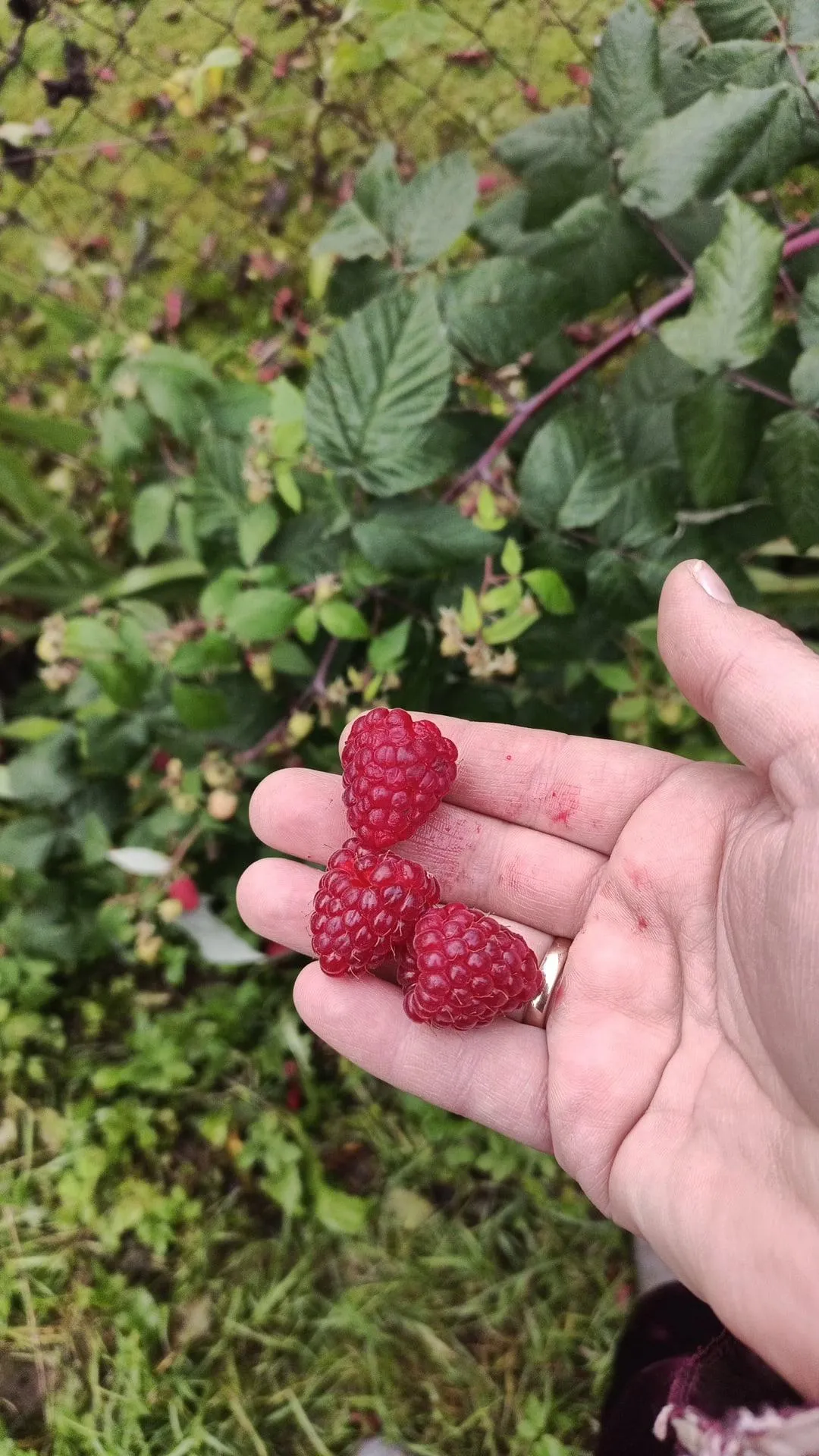 Фото: Подслушано | Дедовск / ВКонтакте