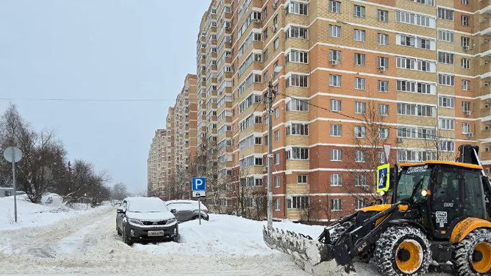 Фото: пресс-служба администрации г.о. Щелково