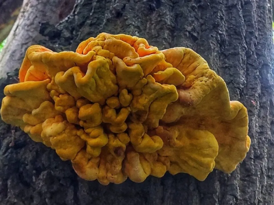 Фото: Василий Потапов