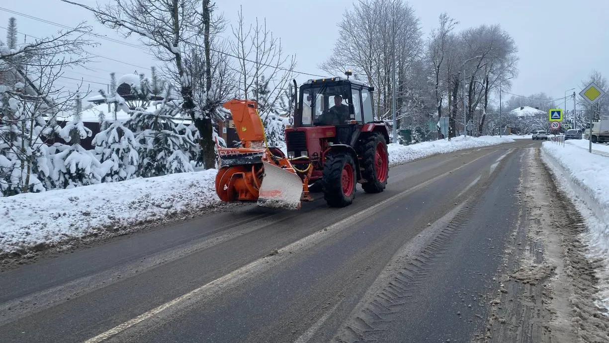 Фото: Анна Артюшина