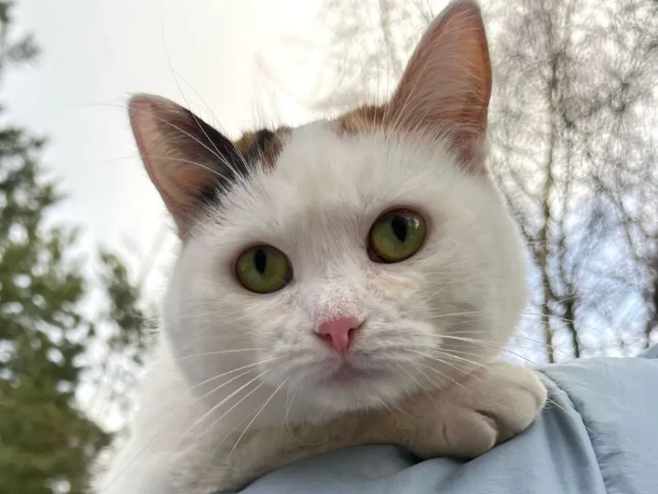 Фото: личный архив Яны Блоцкой