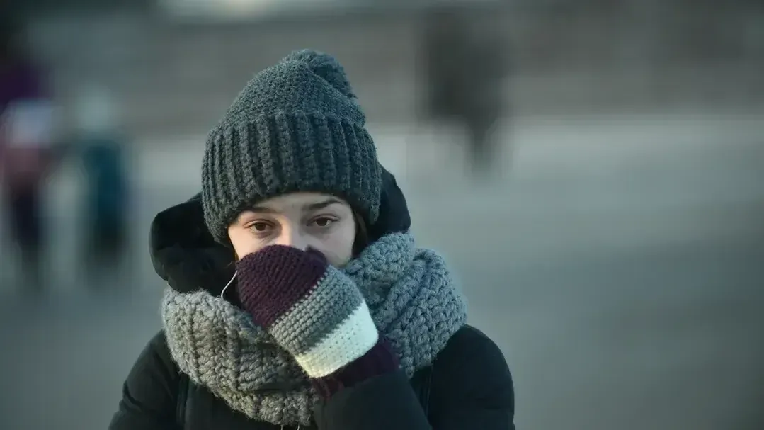 медиасток.рф