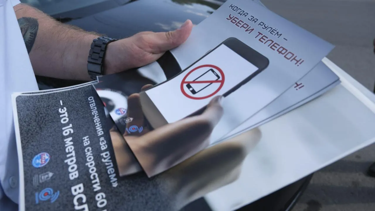 МедиаБанк Подмосковья/Мария Панина