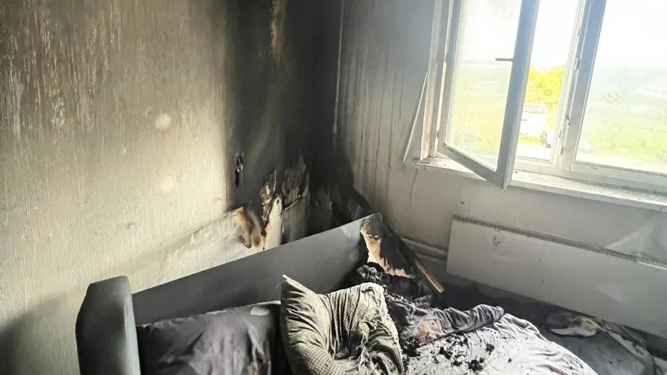 Фото: t.me/mosoblproc