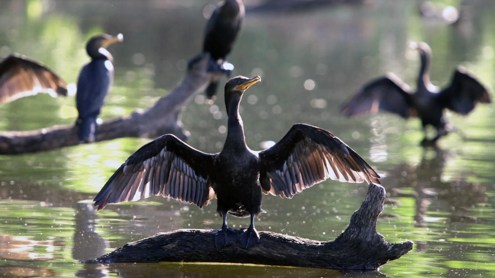 Anna Ponomareva/Russian Look