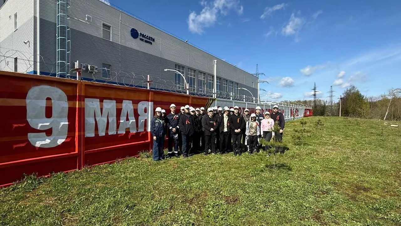 Фото: «Россети»