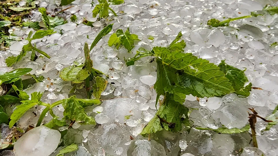 Фото: МедиаБанк Подмосковья/Екатерина Данилина