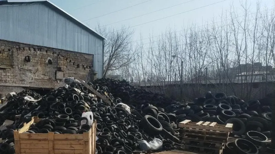 Фото: Министерство экологии и природопользования Московской области