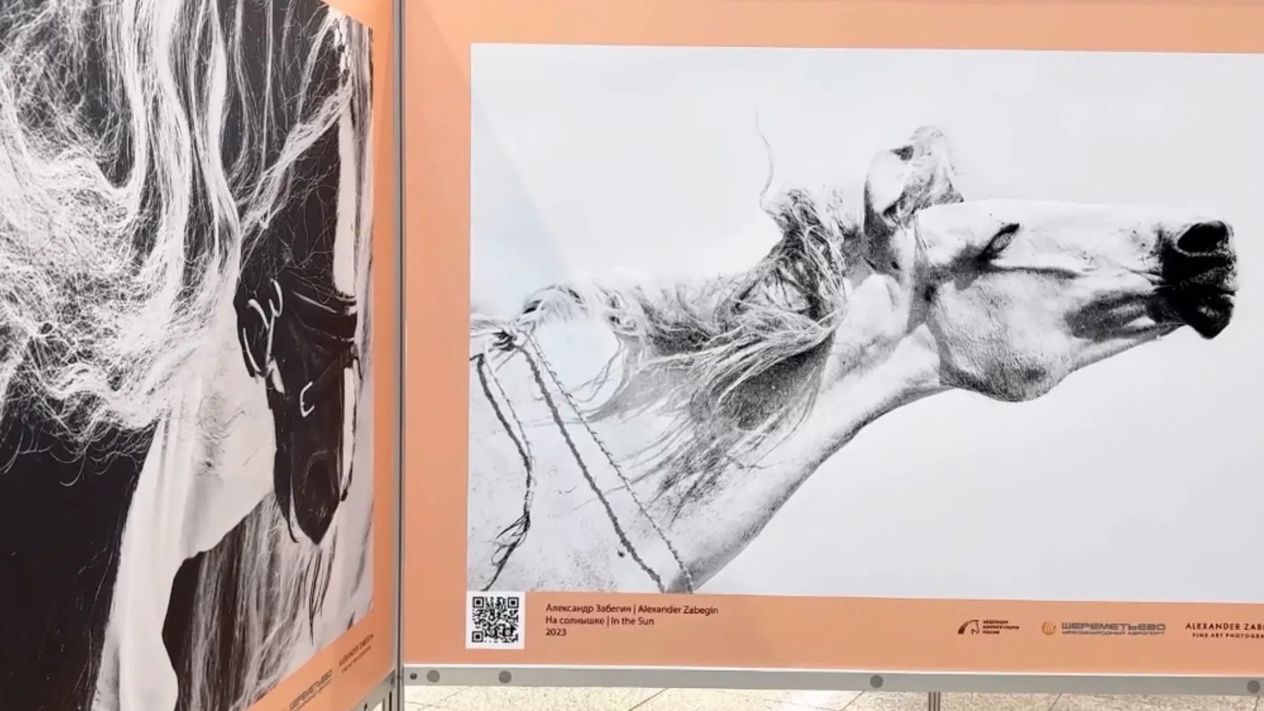 Фото: пресс-служба администрации г.о. Химки