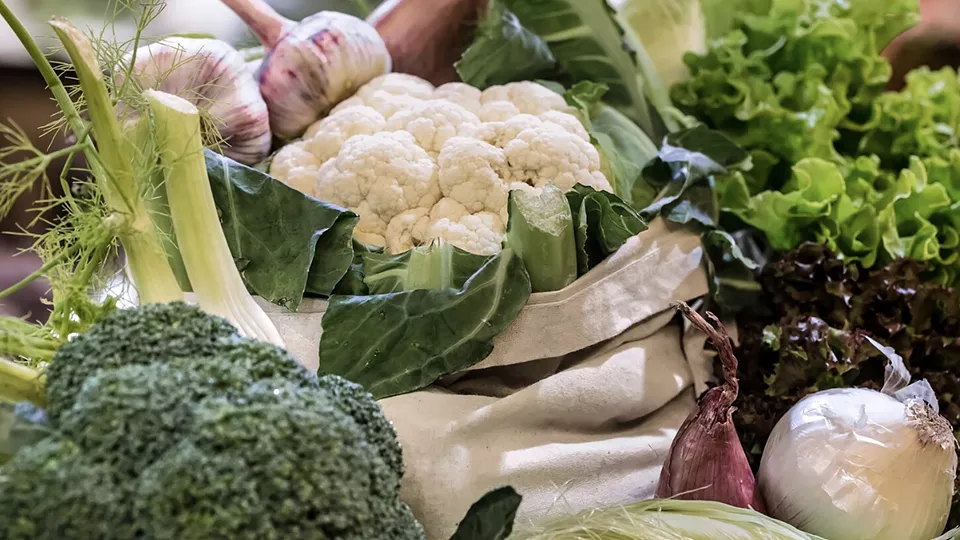 Фото: freepik.com