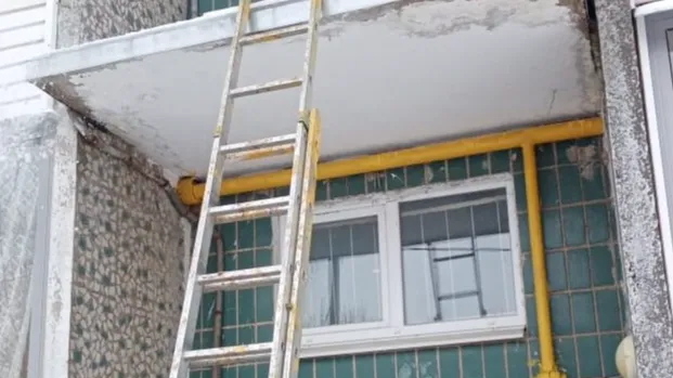 фото: ТГ-канал "Городской округ Лотошино"