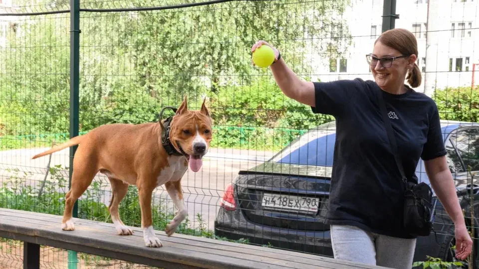 Фото: Ирина Губанова