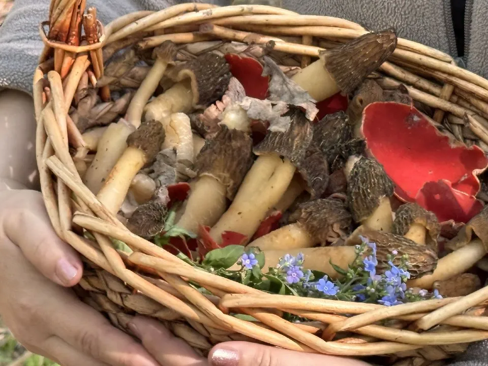 Фото: МедиаБанк Подмосковья/Мария Шматкова