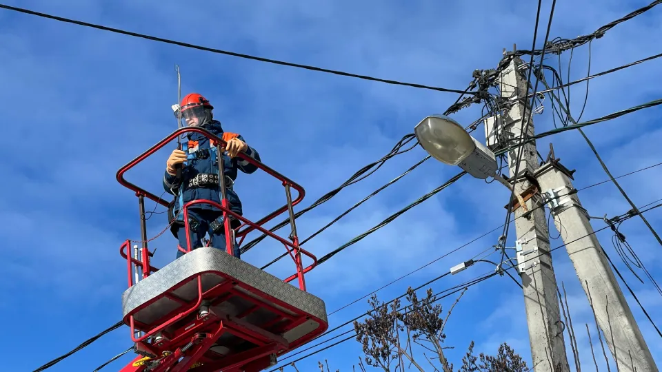 Фото: МедиаБанк Подмосковья/Никита Сморкалов
