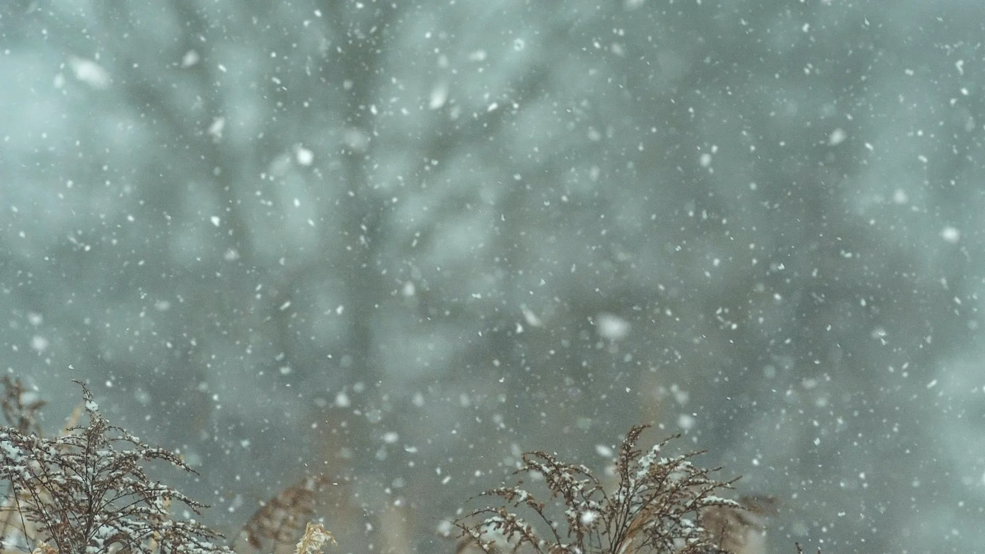 Фото: unsplash.com