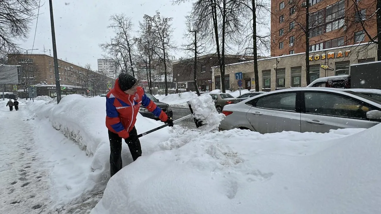 REGIONS/Кристина Тришина