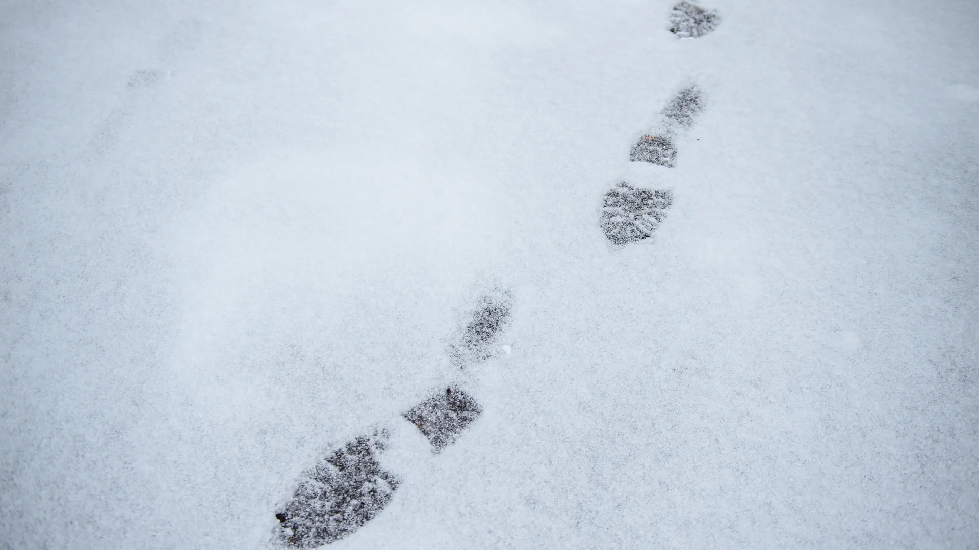 Первый снег в Москве